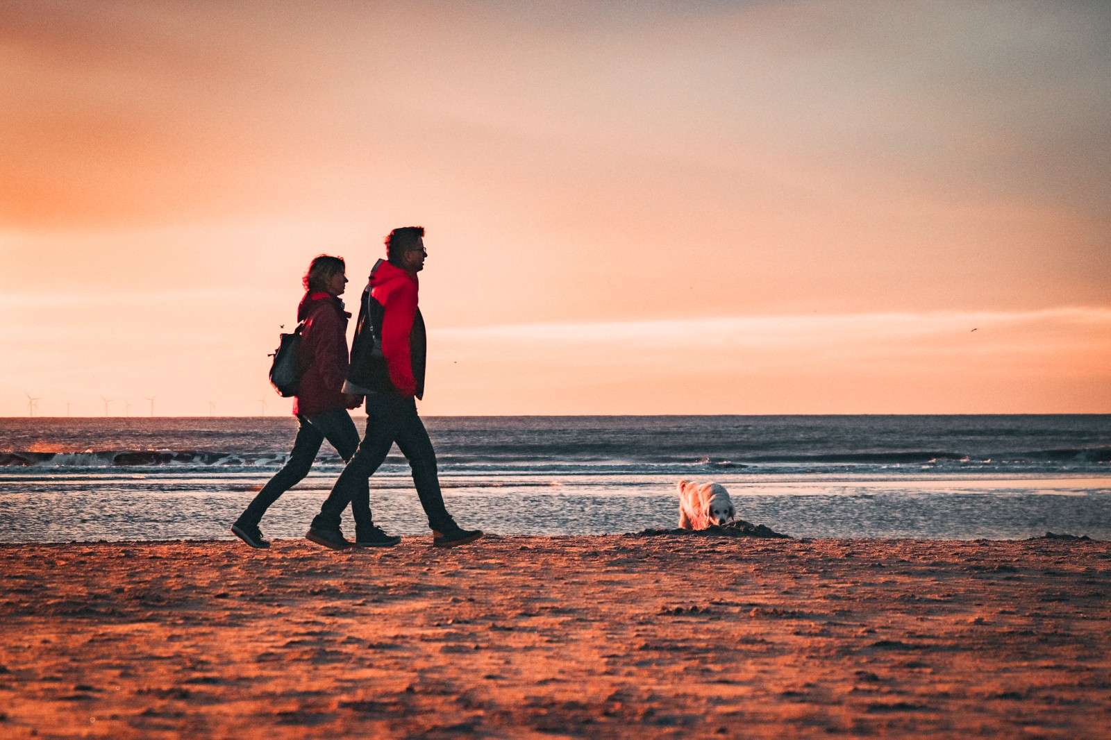 Strandwandeling - Zonsondergang - Hotel in Egmond