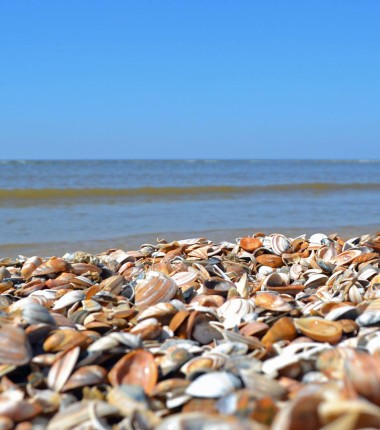 Strand(2).jpg